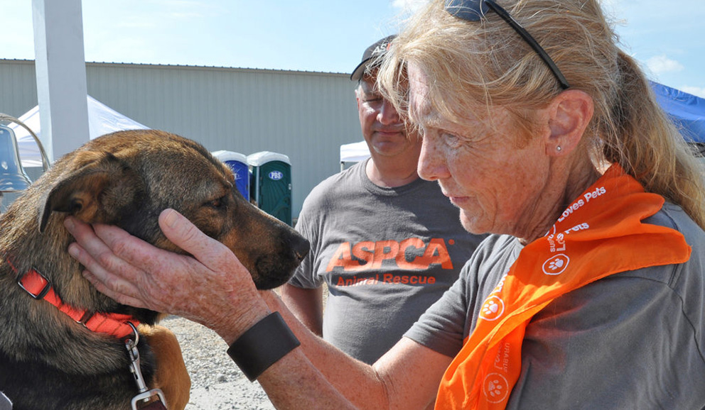 An ASPCA volunteer taking care of a dog.