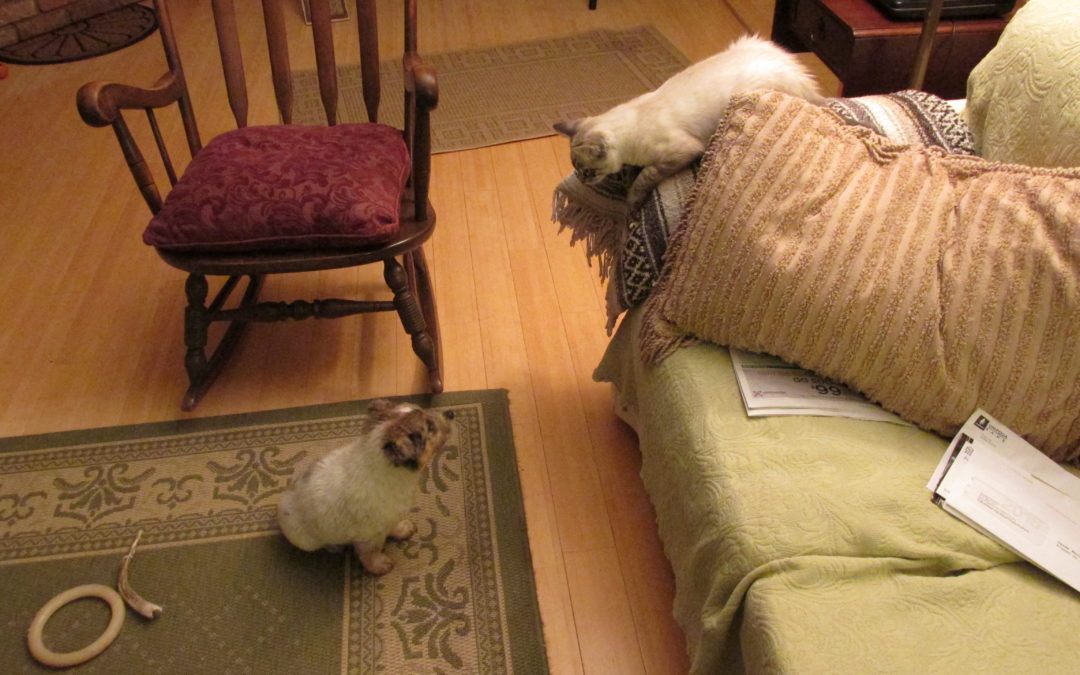 Lifetime commitments